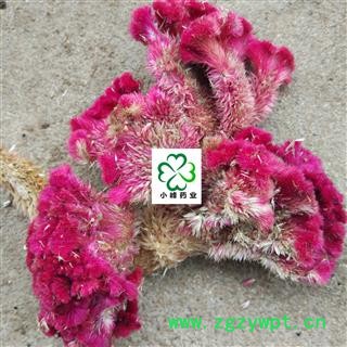 鸡冠花 颜色好 新货 纯干 无虫蛀 产地 河北省图2