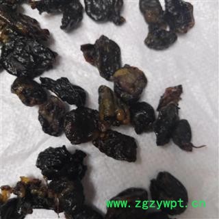 安祁名药兔脑 兔子心图2