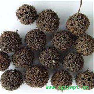 路路通 统 产地 河南省 华美中药 产地直销 重在品质图3