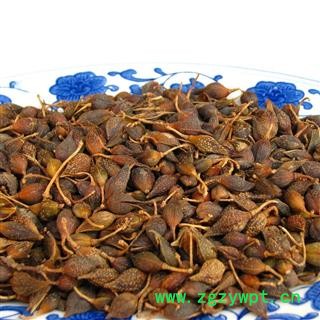 连翘@【华美中药】中药材批发供应【连翘】图2