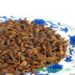 连翘@【华美中药】中药材批发供应【连翘】图3