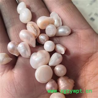 安祁名药珍珠  珍珠粉 可支持打粉免费图2