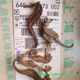 安祁名药优质海马 海龙 海蛇图3