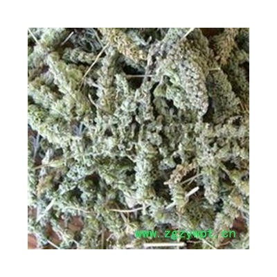 荆芥穗 荆芥穗选货 产地 河北省