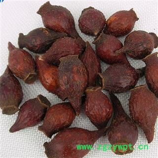 金樱子 金樱子后期统货 产地 江西 华美中药 产地直销 重在品质图2