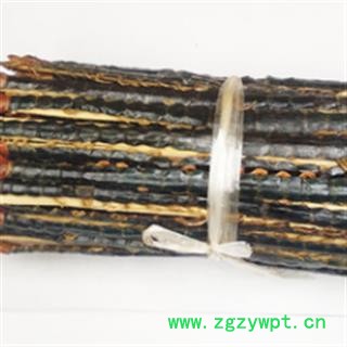 安祁名药中药材蜈蚣 野生蜈蚣 大条图2