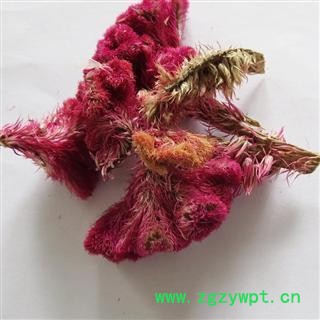 鸡冠花 浙江货 含量高 无杂质 选货 新货 产地 浙江省宁波市图2