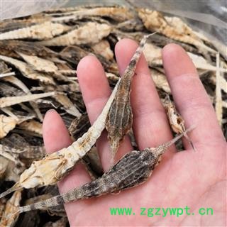 安祁名药海燕   海麻雀图2