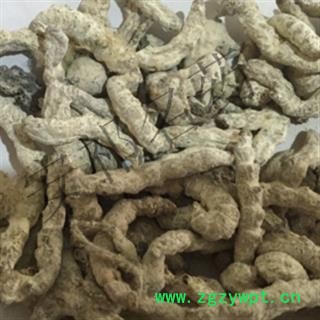 安祁名药僵蚕 统 产地 广西壮族自治区图3