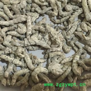 安祁名药僵蚕 统 产地 广西壮族自治区图2