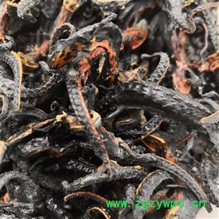 安祁名药野生正品中药材羌活鱼 雪鱼 秉氏猊 杉木鱼图2