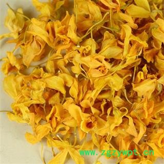 小丽百草行石斛花 鼓槌石斛花 产地 云南图2