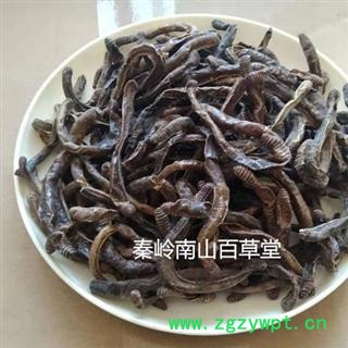 【新货】中药材秦岭全地龙干 蚯蚓干 日晒无硫500g图2
