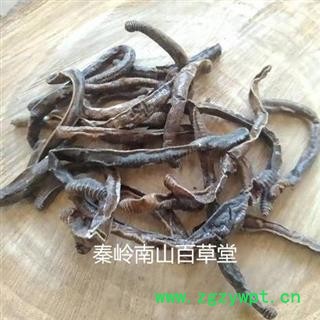 【新货】中药材秦岭全地龙干 蚯蚓干 日晒无硫500g图4