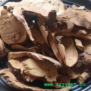 小丽百草行月季花根 月季根 月月开根 月月红根图2