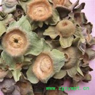 小丽百草行柿蒂 柿楴 柿子柄 新货图2