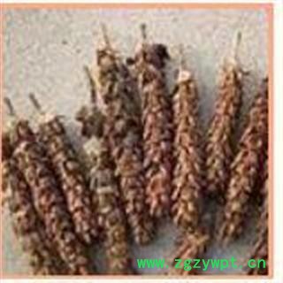 夏枯球 夏枯球净货 道地良药 产地 河南省图2