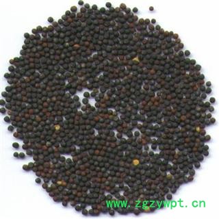 芸苔子 油菜籽 油菜子 正品保证质量7天无理由退货退款 安品堂图3