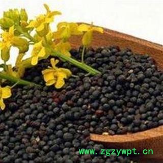 芸苔子 油菜籽 油菜子 正品保证质量7天无理由退货退款 安品堂图2