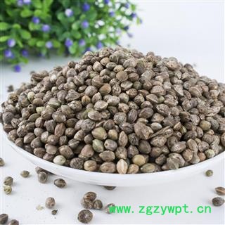 火麻仁干净无杂质粒粒饱满正品保证质量7天无理由退货退款 中药材批发 丽丽药业图4