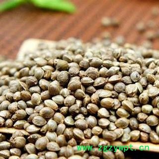 火麻仁干净无杂质粒粒饱满正品保证质量7天无理由退货退款 中药材批发 丽丽药业图2