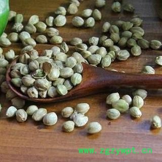 火麻仁干净无杂质粒粒饱满正品保证质量7天无理由退货退款 中药材批发 丽丽药业图3