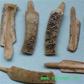 鳖甲 大统 产地 江苏省盐城市市辖区图3