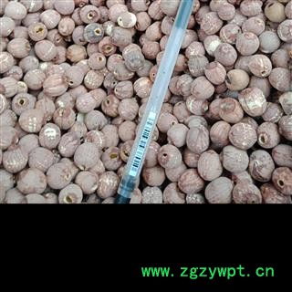 丽丽药业 红莲子去芯 中药材批发红莲子正品保证实图拍照7天无理由退货退款图2