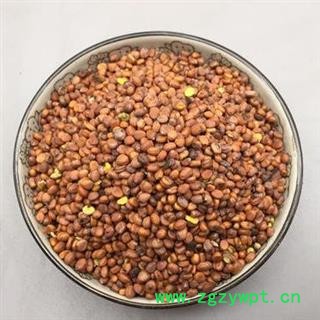 莱菔子 干净无杂质正品保证质量7天无理由退货退款 安品堂图4