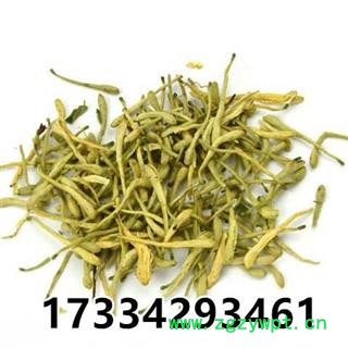 金银花 金银花青花选货 产地 河南图4