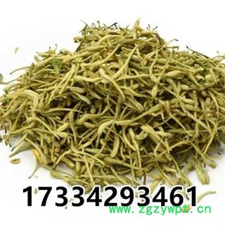 金银花 金银花青花选货 产地 河南图2