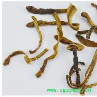 地龙 中开 产地 广东省肇庆市市辖区图3