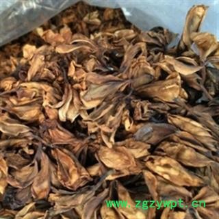 诺源中药材栀子花  山栀花图2