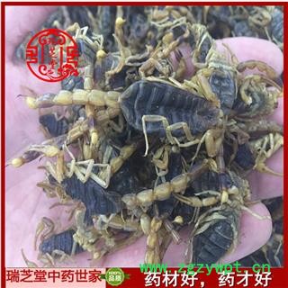 清水全蝎统货  河北河南清水全蝎秋货 药典正品 中药材 瑞芝堂产地直供1000克 规格齐全 一站购齐图3