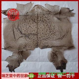 蟾皮统货 吉林蟾皮 蟾蜍皮药典正品 中药材 瑞芝堂产地直供1000克 规格齐全 一站购齐图4