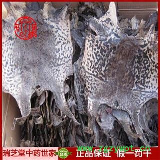蟾皮统货 吉林蟾皮 蟾蜍皮药典正品 中药材 瑞芝堂产地直供1000克 规格齐全 一站购齐图3