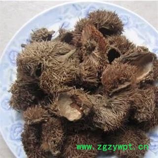 栗壳 风栗壳 正品保证质量7天无理由退货退款 安品堂图3