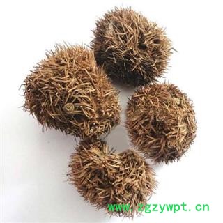 栗壳 风栗壳 正品保证质量7天无理由退货退款 安品堂图4