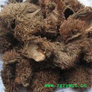 栗壳 风栗壳 正品保证质量7天无理由退货退款 安品堂图2