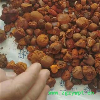 【中药材天然牛黄】什么是天然牛黄价格多少钱一克天然牛黄图片天然牛黄怎样形成的天然牛黄与人工牛黄的区别天然牛黄哪里买天然牛黄的用法品种齐全尽在安国中药材市场批发零售诚实通店铺图2