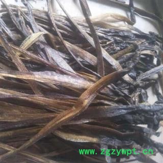 地龙 广地龙大开个 产地 广西壮族自治区 品种齐全 安国中药材批零大全图3