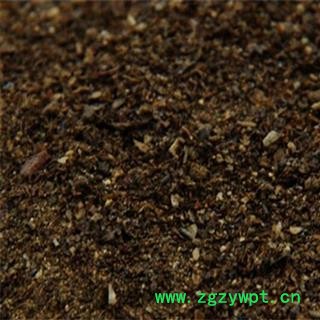 夜明砂 统 产地 河北省图2