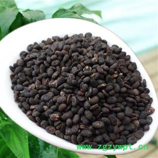 补骨脂正品保证干净无杂质 中药材批发 丽丽药业图2