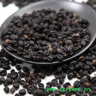 刺五加籽 干净无杂质正品保证质量7天无理由退货退款 中药材批发 丽丽药业图4