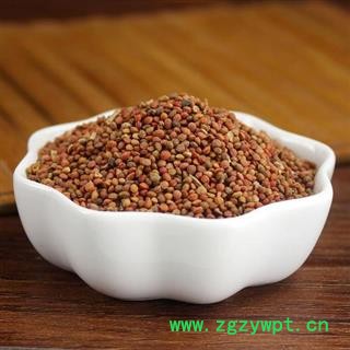 楮实子 楮实籽 净500克 干净无杂质正品保证质量 中药材批发 安品堂图3