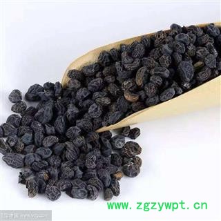 炒女贞子 灸女贞子 制女贞子 正品保证质量 中药材批发 丽丽药业图3