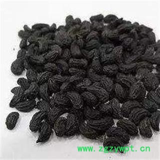 炒女贞子 灸女贞子 制女贞子 正品保证质量 中药材批发 丽丽药业图2