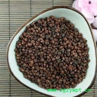 马蔺子 马兰子 正品保证质量7天无理由退货退款 安品堂图3