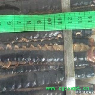 蜈蚣 蜈蚣中条选货12-14cm 产地 湖北省图2