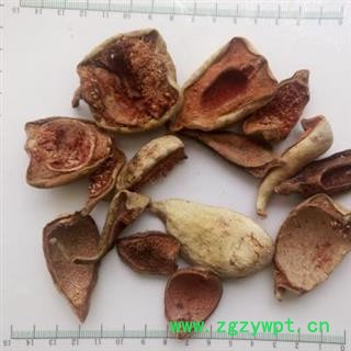 王不留行壳统货正品保证质量 中药材批发 丽丽药业图2